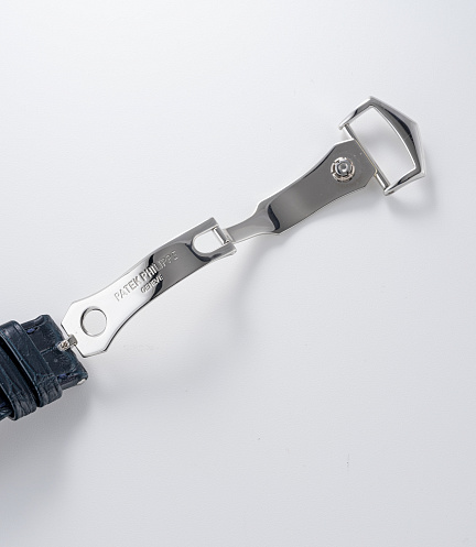 Annual Calendar Chronograph in Platinum